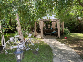 Cosy Studio in Anita complex